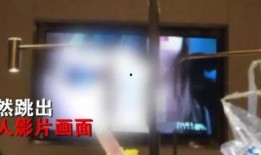 晋江杨小姐爆料视频最新,揭秘娱乐圈惊人内幕